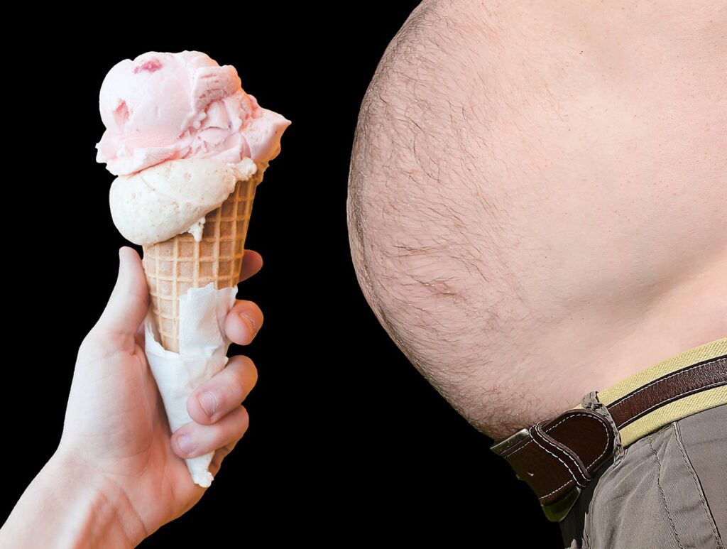 obesity, fat, diet